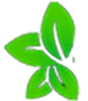 Logo Icon